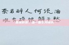 雪落煮茶，温一壶岁月情长