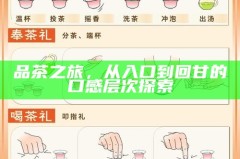 品茶之旅，从入口到回甘的口感层次探索